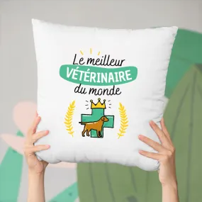 Coussin Le meilleur vétérinaire du monde