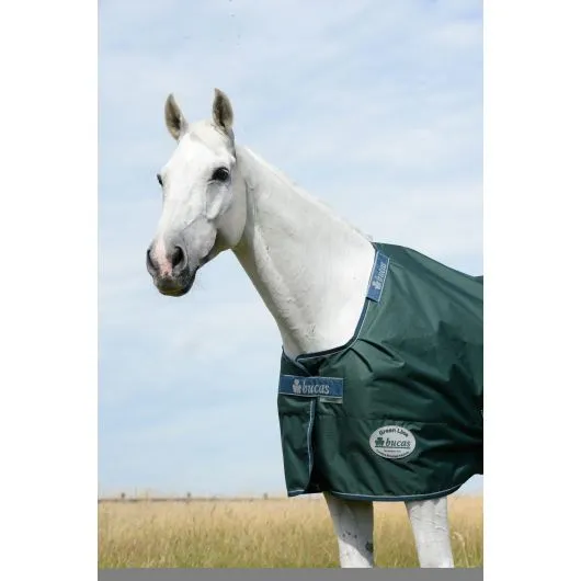 Couverture extérieur cheval Green line 300g en tissu recyclable - Bucas - BUCAS - Couvertures imperméables cheval - Equestra