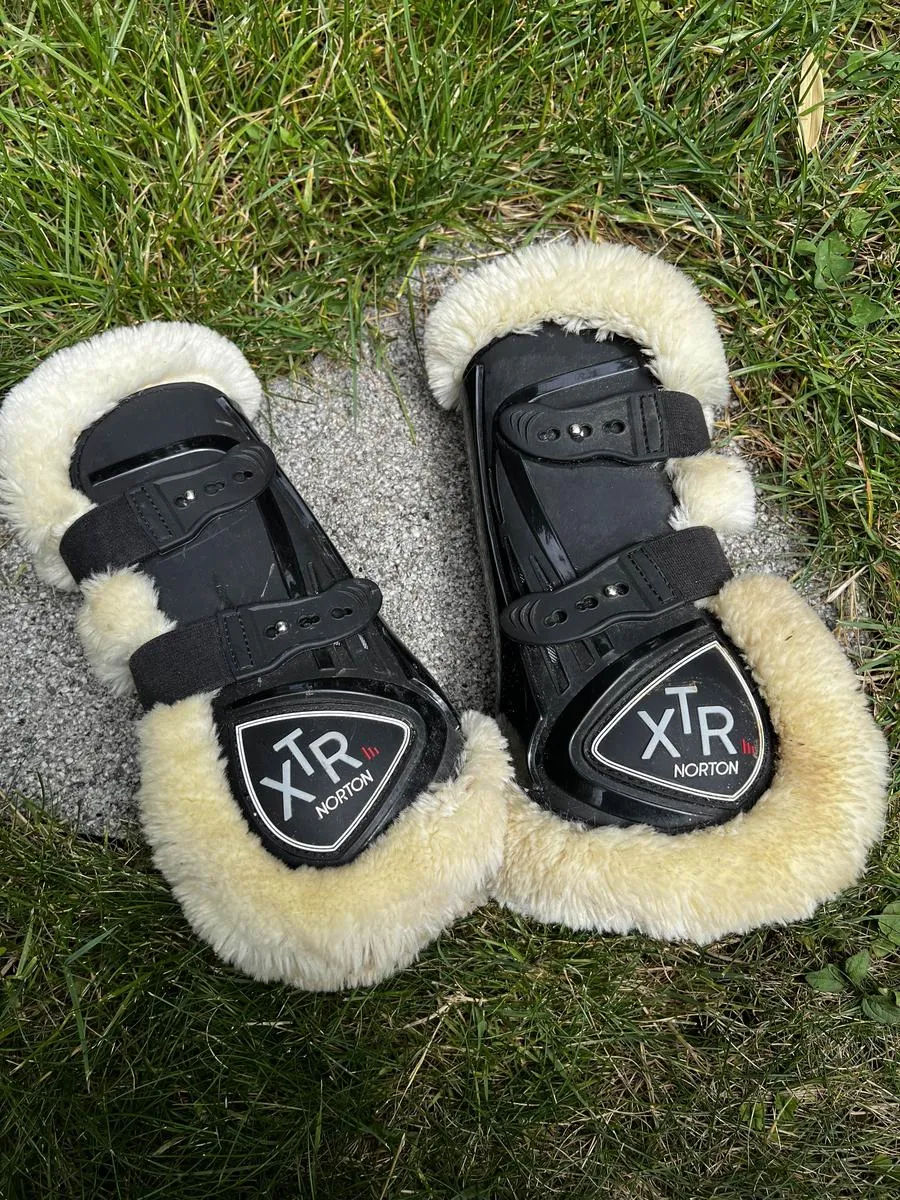Protections XTR mouton