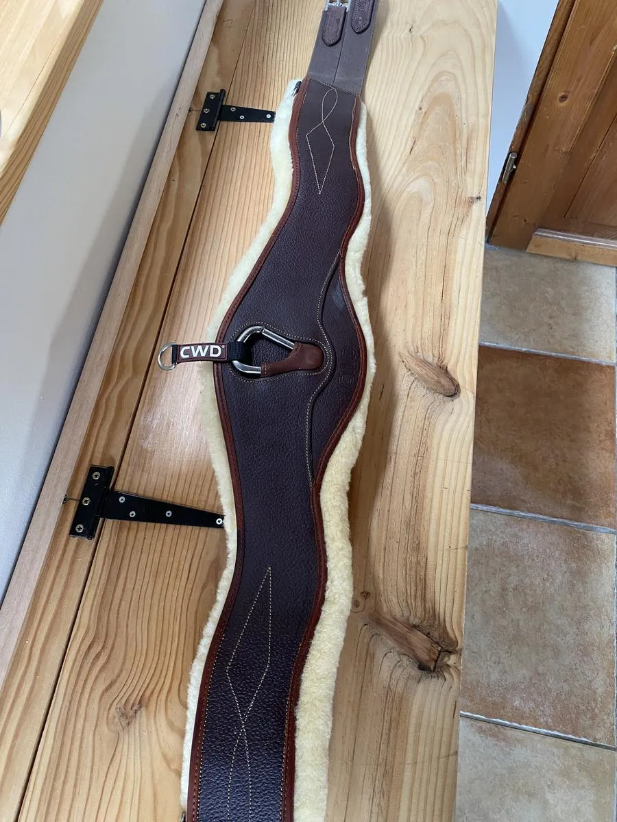 Sangle mouton CWD