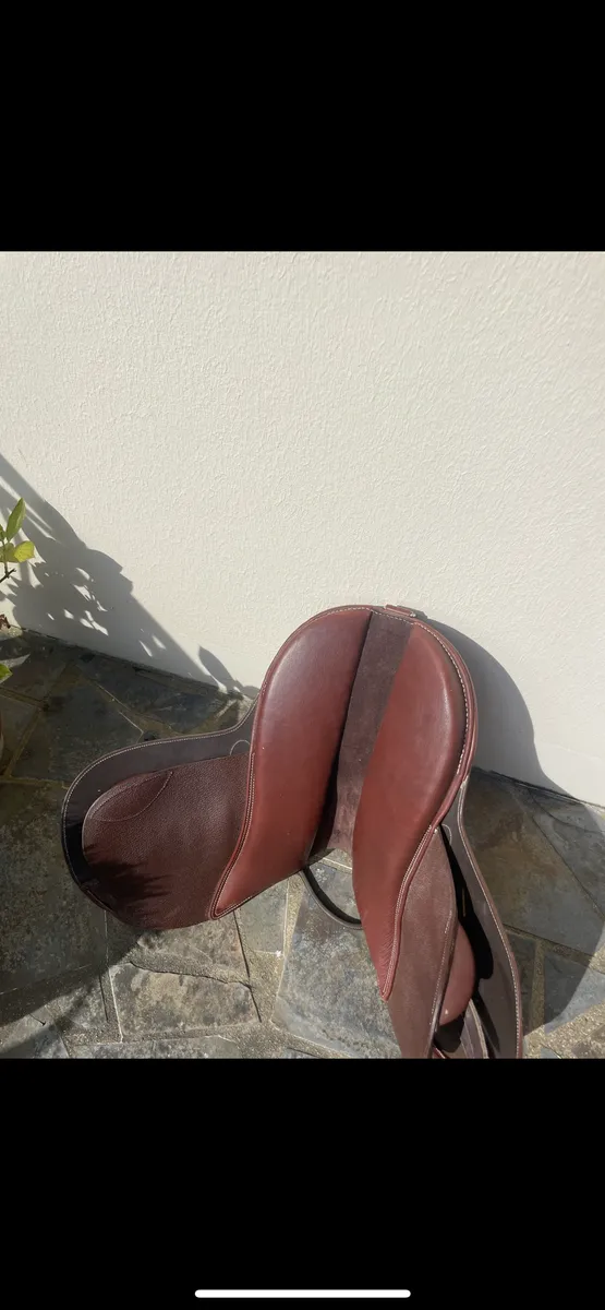 Selle Guy cantin
